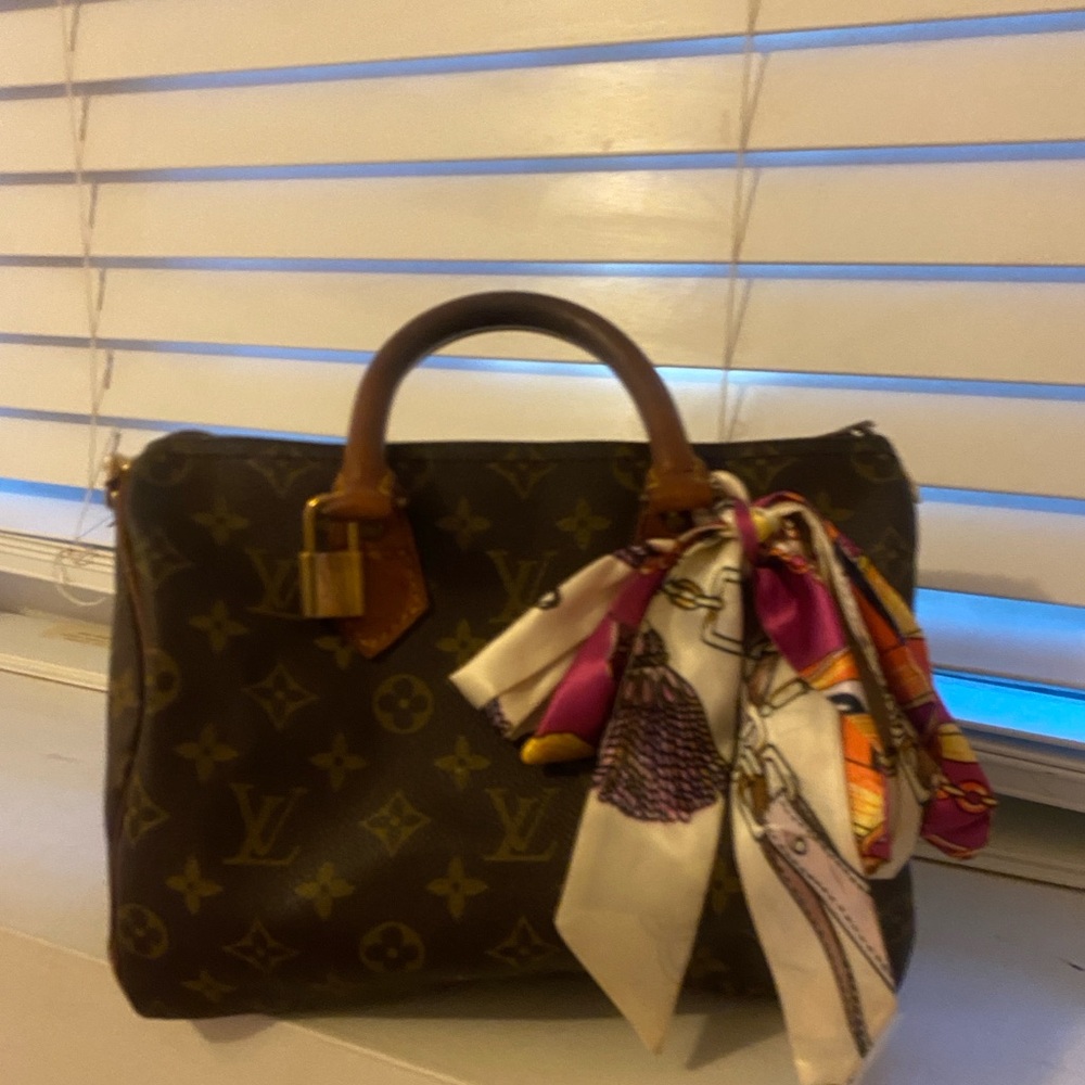 Louis Vuitton Classic Monogram Satchel